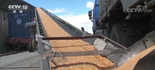 上半年国家铁路粮食 化肥运量分别达2821万吨 2516万吨