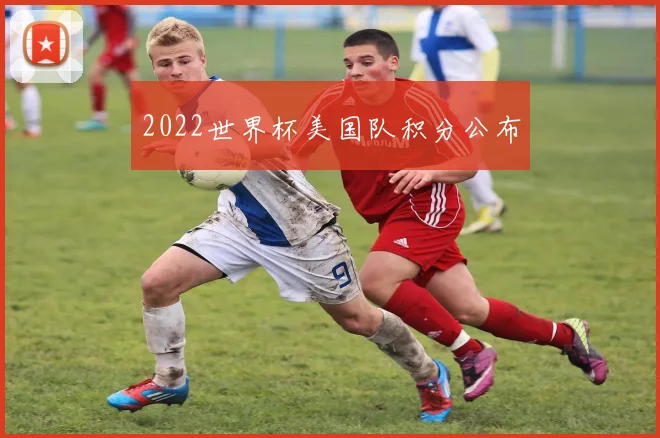 2022世界杯美国队积分公布